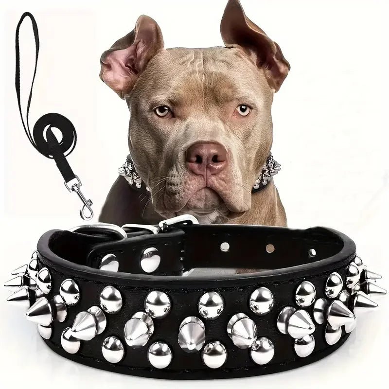 Collier et laisse Rock Chic pour chien – Style cuir élégant