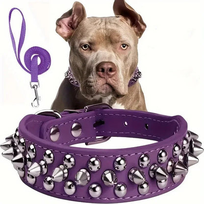 Collier et laisse Rock Chic pour chien – Style cuir élégant
