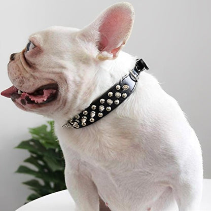 Collier et laisse Rock Chic pour chien – Style cuir élégant