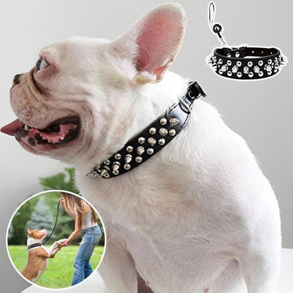 Collier et laisse Rock Chic pour chien – Style cuir élégant