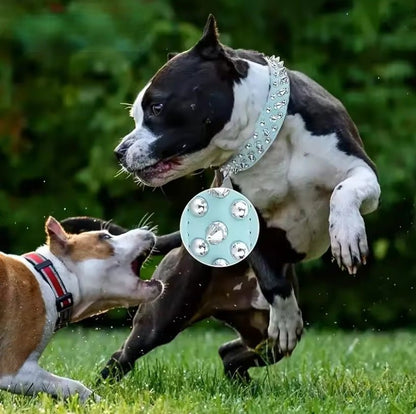 Collier et laisse Rock Chic pour chien – Style cuir élégant