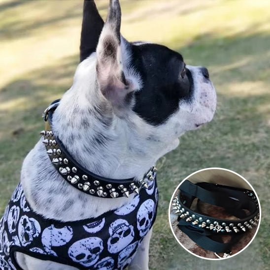 Collier et laisse Rock Chic pour chien – Style cuir élégant