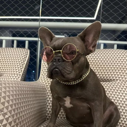 Collier pour chien diamant – Élégance et confort chic