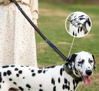 dalmatien laisse pour chien liberation rapide