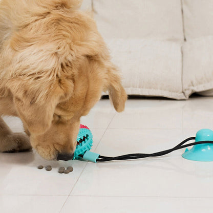 golden nourriture jouet pour chien