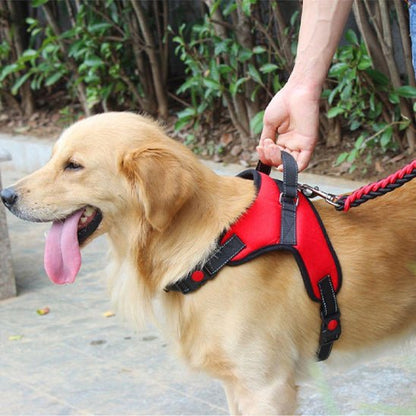 Harnais anti-traction pour chien – Modèle FexiTraction