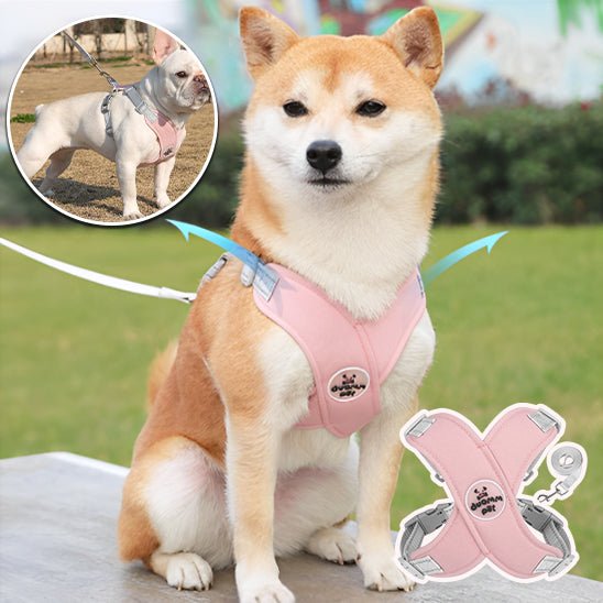 Harnais chien Xrespire - Réfléchissant, respirant et confortable