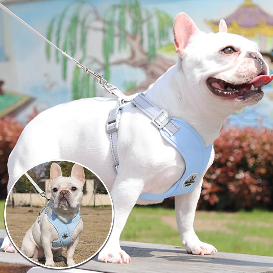 Harnais chien Xrespire - Réfléchissant, respirant et confortable