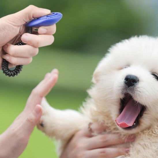 Clicker de dressage – Jouet pour chien éducatif et efficace