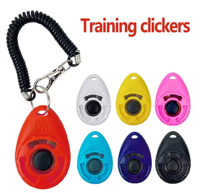 jouet pour chien clicker couleurs