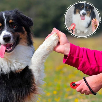 chien qui tape dans la main de son maitre grace au jouet pour chien clicker