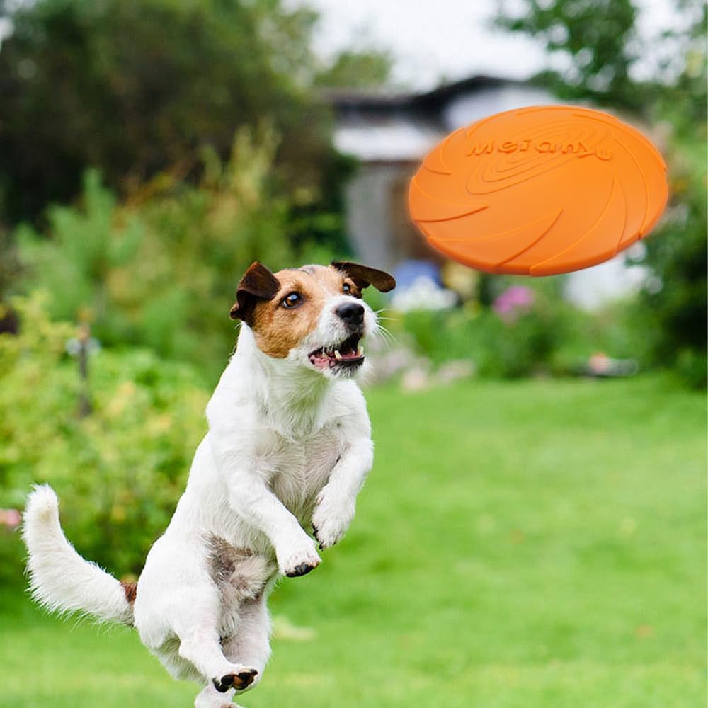 Disque volant résistant pour chien – Frisbee indestructible