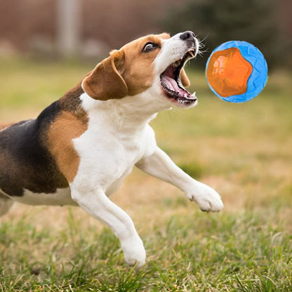 beagle veux attraper balle jouet pour chien dans les air