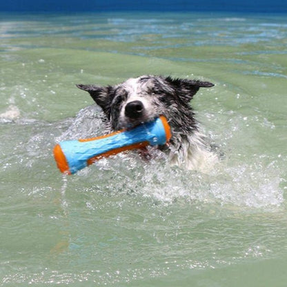 chien dans l'eau avec son jouet pour chien flottant dans la bouche