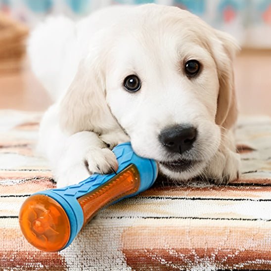 Chiot mordille jouet pour chien resistant