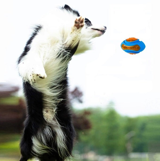 Jouet pour chien  |  Flottant et résistant