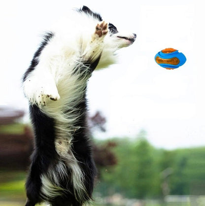 Jouet pour chien  |  Flottant et résistant