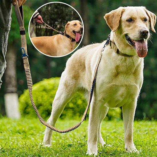 Laisse multifonction pour chien – Tactique 4 en 1 robuste et sécurisée