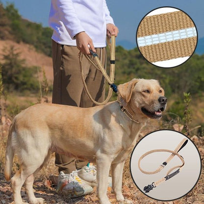 labrador laisse pour chien deux poignes reflechissant