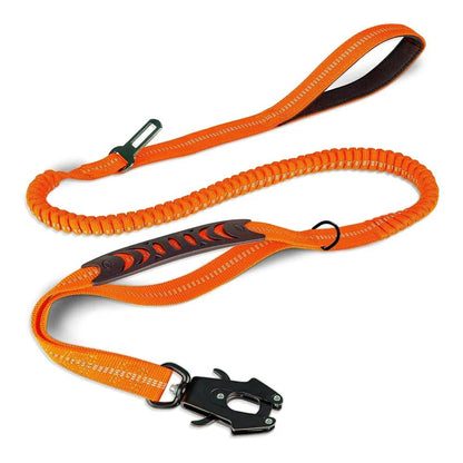 laisse pour chien orange