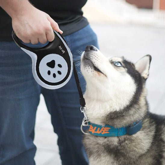 Laisse rétractable pour chien – Promenade avec liberté et sécurité