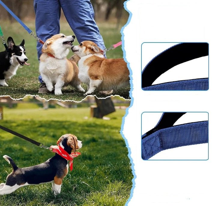 Longe pour chien – Laisse d'entraînement longue distance