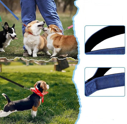 Longe pour chien – Laisse d'entraînement longue distance