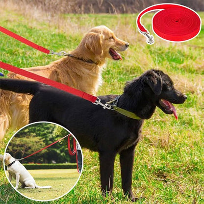 Longe pour chien – Laisse d'entraînement longue distance