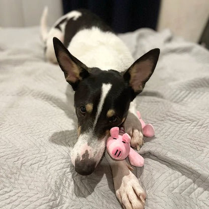 Peluche chien nettoyage dentaire intégré