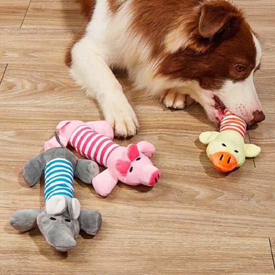 Peluche chien nettoyage dentaire intégré