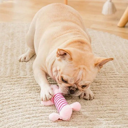 Peluche chien nettoyage dentaire intégré