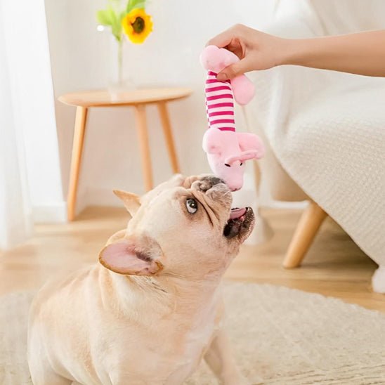 Peluche chien nettoyage dentaire intégré