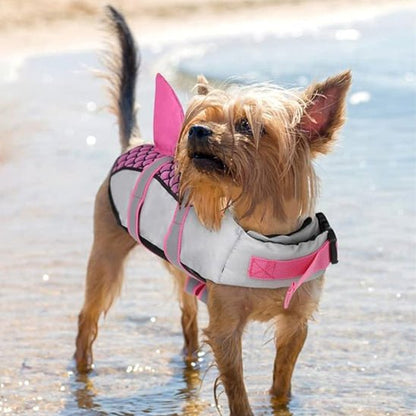 petit chien pattes eau porte gilet de sauvetage chien rose