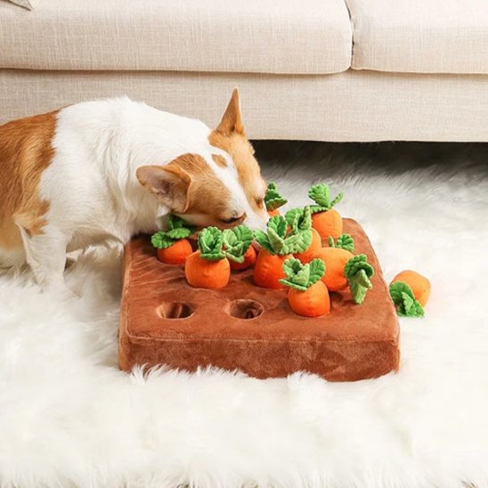 Jouet pour chien | Stimulateur Mental