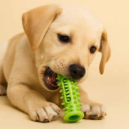 Jouet pour chien ultra-résistant | Anti-ennui