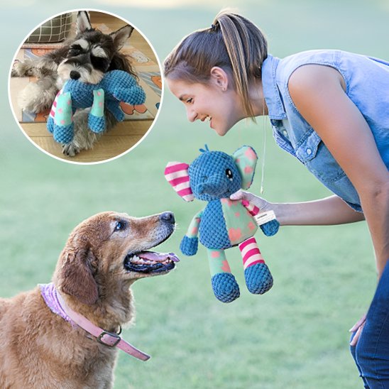 Peluche pour chien | RobustPlay